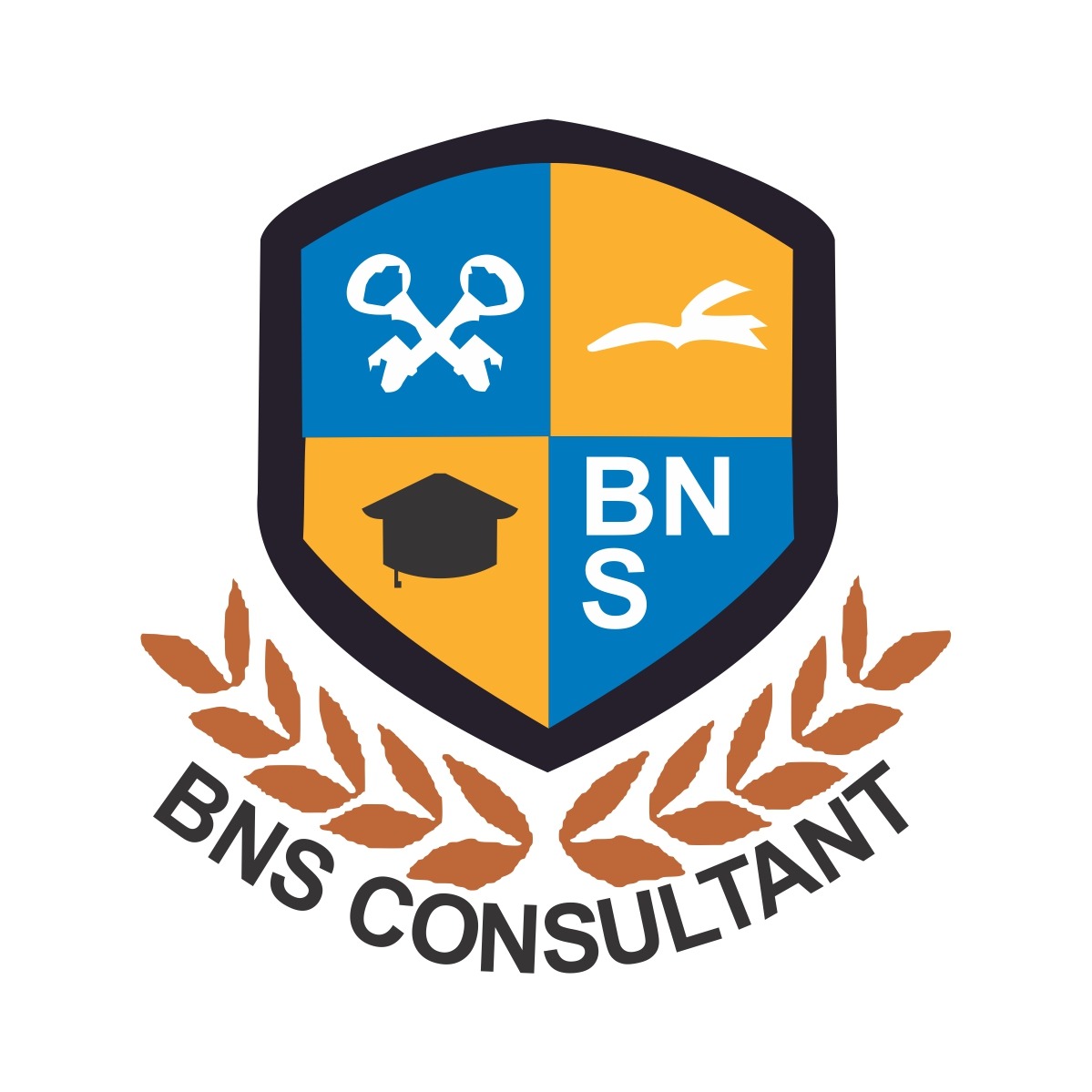 BN STUDY CONSULTANTS